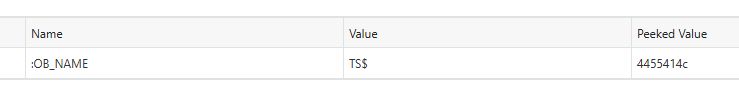 Name: :OB_NAME	Value: TS$	Peeked Value: 4455414c