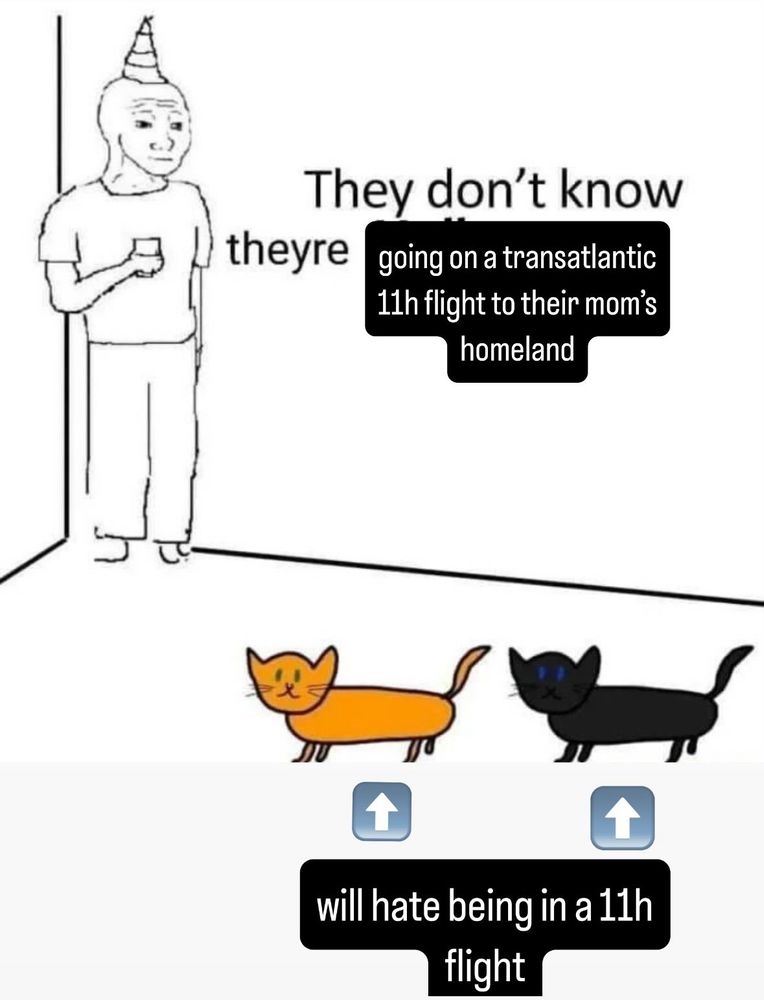 Meme of man wearing party hat sipping in a corner. There’s a black cat and an orange cat. Caption says “They don’t know they’re going on a transatlantic 11h flight to their mom’s homeland”. Arrows point to the cats, saying “will hate being in a 11h flight”