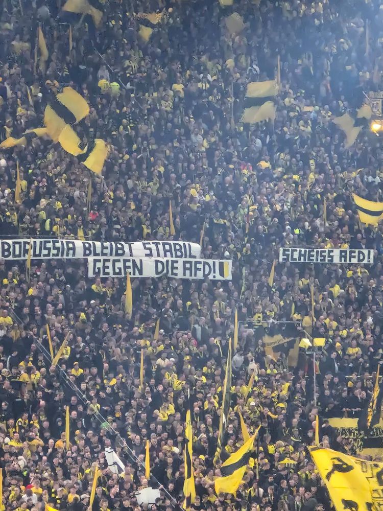 Mehrere Spruchbänder auf der Südtribüne im Dortmunder Westfalenstadion.
Übereinander "Borussia bleibt stabil" und "Gegen die AFD" daneben ein Spruchband "Scheiss AFD"