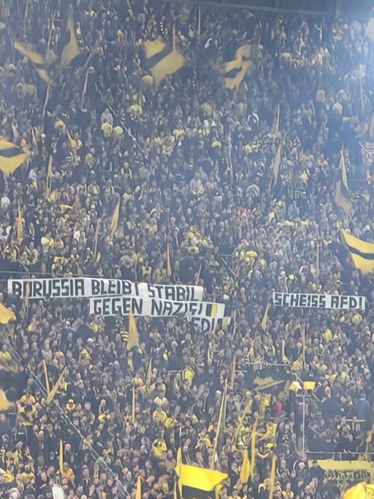 Mehrere Spruchbänder auf der Südtribüne im Dortmunder Westfalenstadion.
Übereinander "Borussia bleibt stabil" und "Gegen Nazis" daneben ein Spruchband "Scheiss AFD"