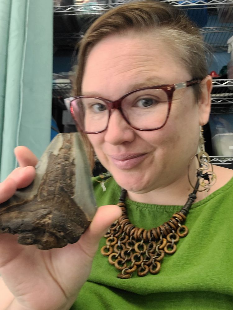 A women, wearing glasses, holding a large meglodon tooth. She is very happy to be holding a sharks tooth the size of her hand. She is wearing snake earrings and a huge smile.