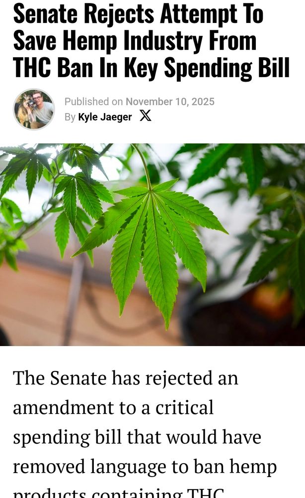 Pic of article saying "senate rejects attempt to save hemp industry from THC ban in key spending bill"
