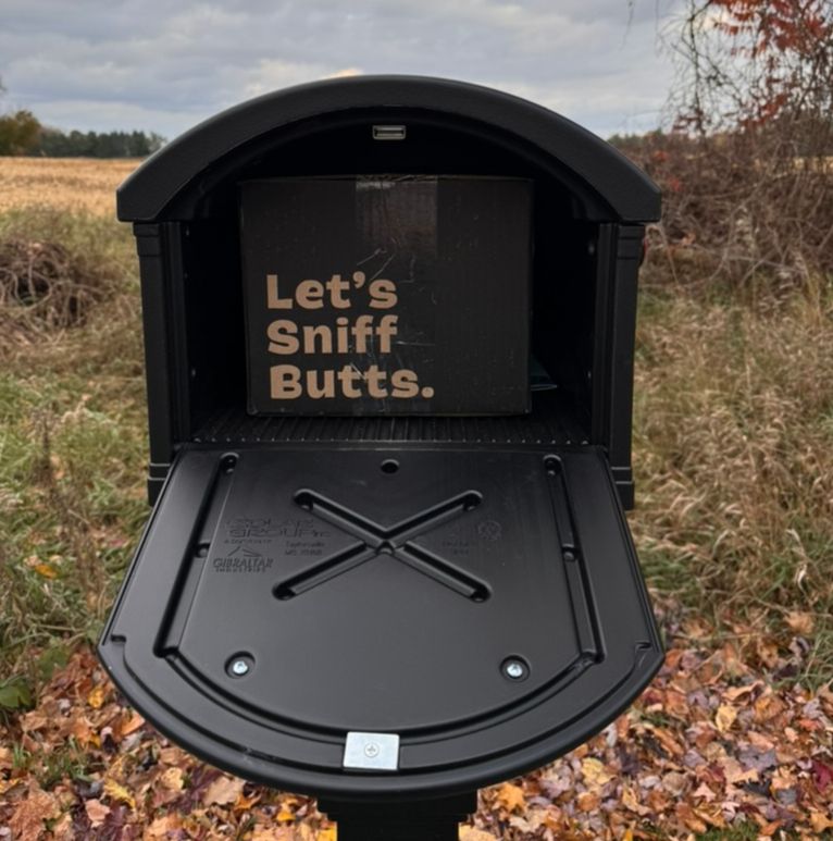 Open mailbox with a box inside that reads Let's Sniff Butts - a delivery from BarkBox.
