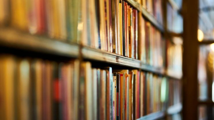 Picture of books on shelves