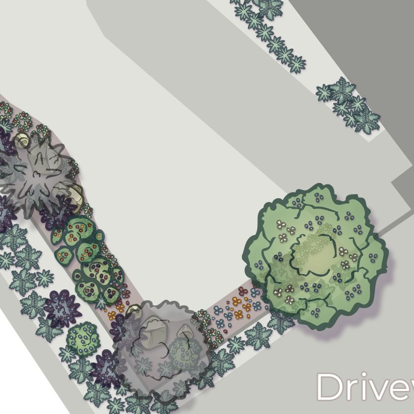 A second close-up image showing more of the diversity of plantings established on site, including a large Saskatoon shrub at the entrance of the yard, ground-covers of strawberries, kinnikinnick, and native wildflowers, and multiple other species of native berry-producing shrubs.