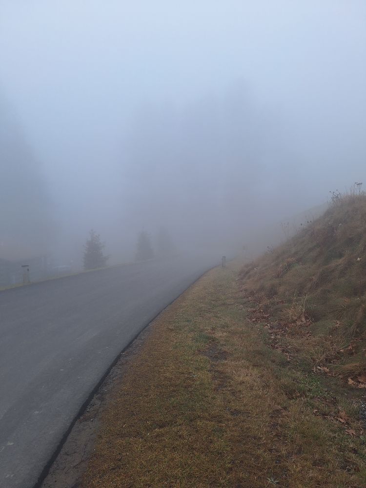 Photograph of a foggy street and hillside. Trees are faintly visible through the fog.