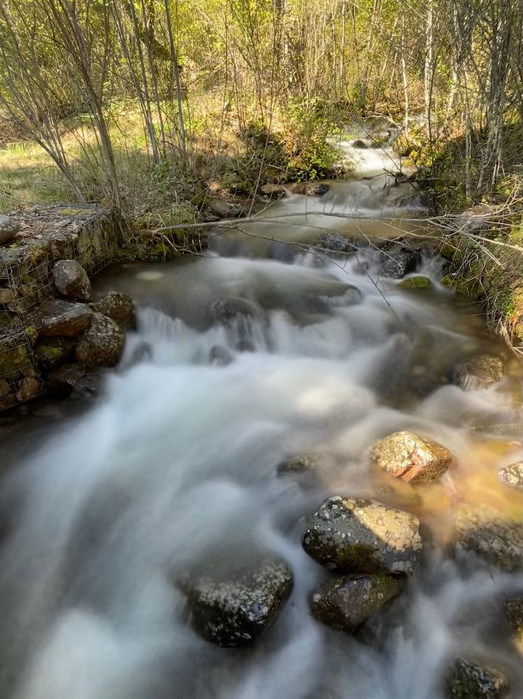 Water flows down a creek over boulders and between trees. The long exposure of the images shows the speed of the water as it makes its way downstream. 
