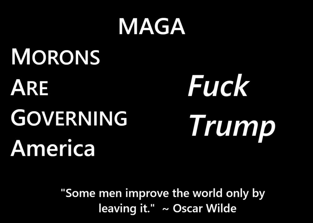 The image is a political statement against Donald Trump and his supporters. The words "Maga Morons Are Governing America" are displayed on the left side of the image, while the words "Fuck Trump" are displayed on the right side of the image. The image also includes a quote by Oscar Wilde about how some men improve the world only by leaving it. The message of the image is that Trump supporters are morons who are ruining America and that the best way to improve the country is to get rid of them. This image is likely to be considered offensive by some viewers. 
