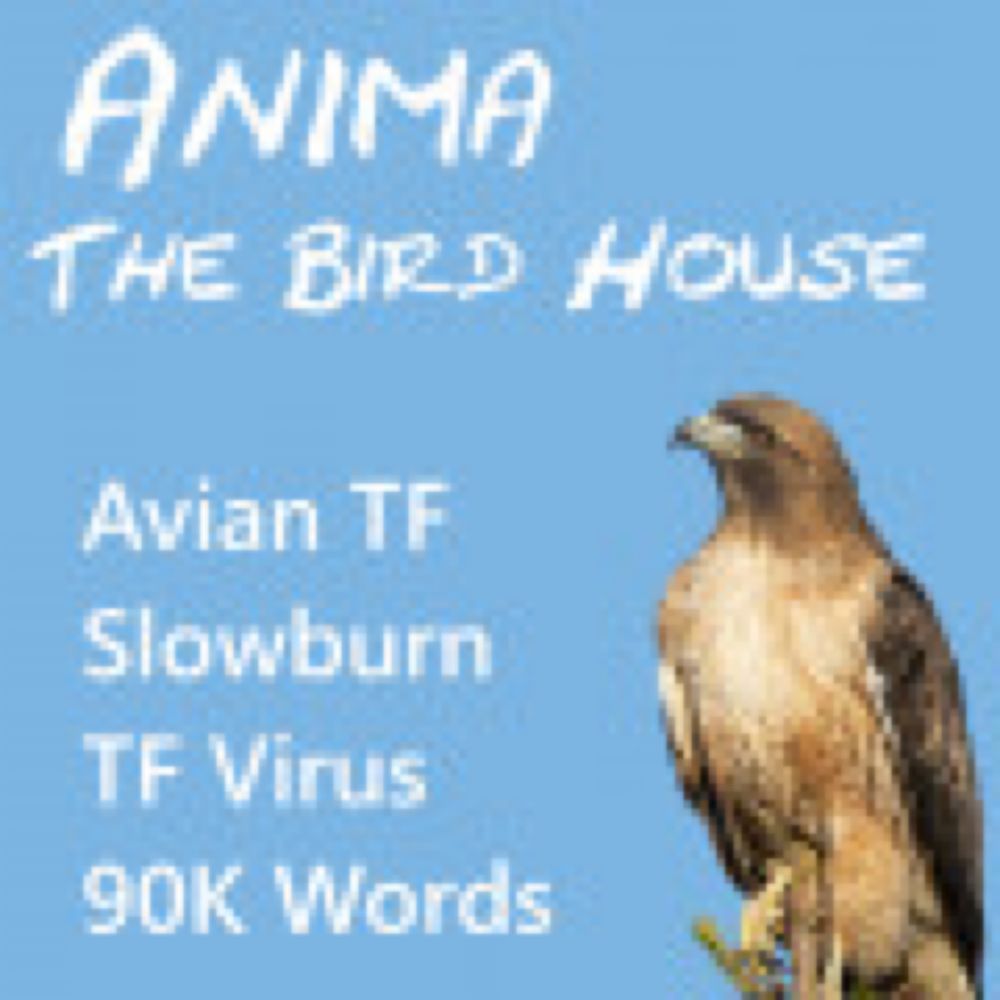 Anima: The Bird House (Revised Edition) by EricMalves