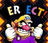 A screenshot of the 100% completion bonus screen of Wario Land 3, the “PERFECT!” text has been edited to say “ERECT!”