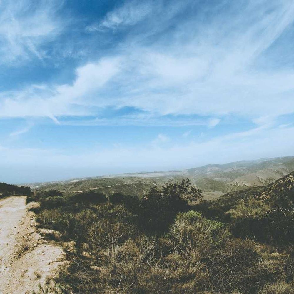 Motivational background