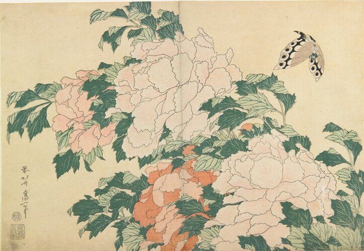 Peonies and Butterfly