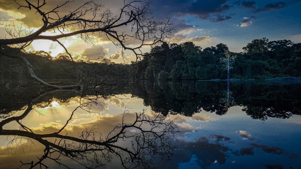 © Icaro Cooke Vieira