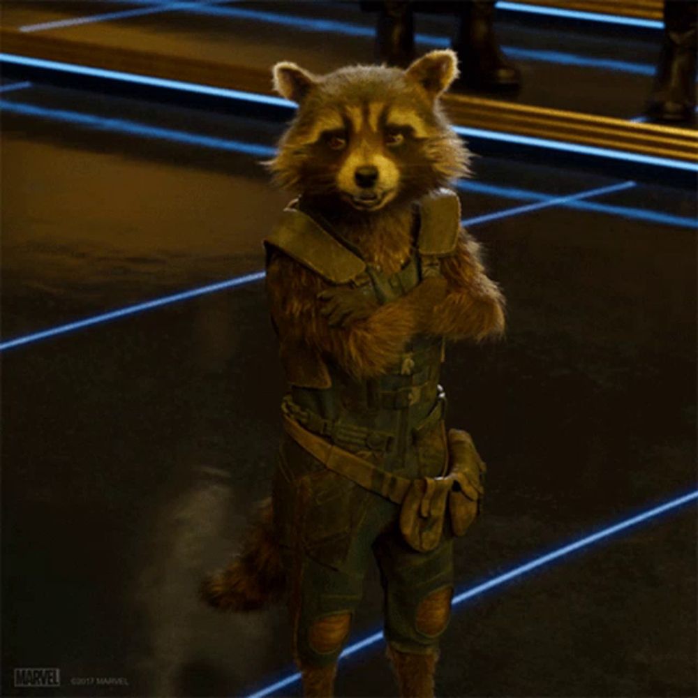 rocket raccoon from the movie guardians of the galaxy stands with his arms crossed