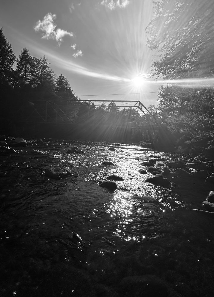 The setting sun sits above an iron bridge with an arc of rays splitting it in half. The light casts a streak on a creek surrounded by the forest