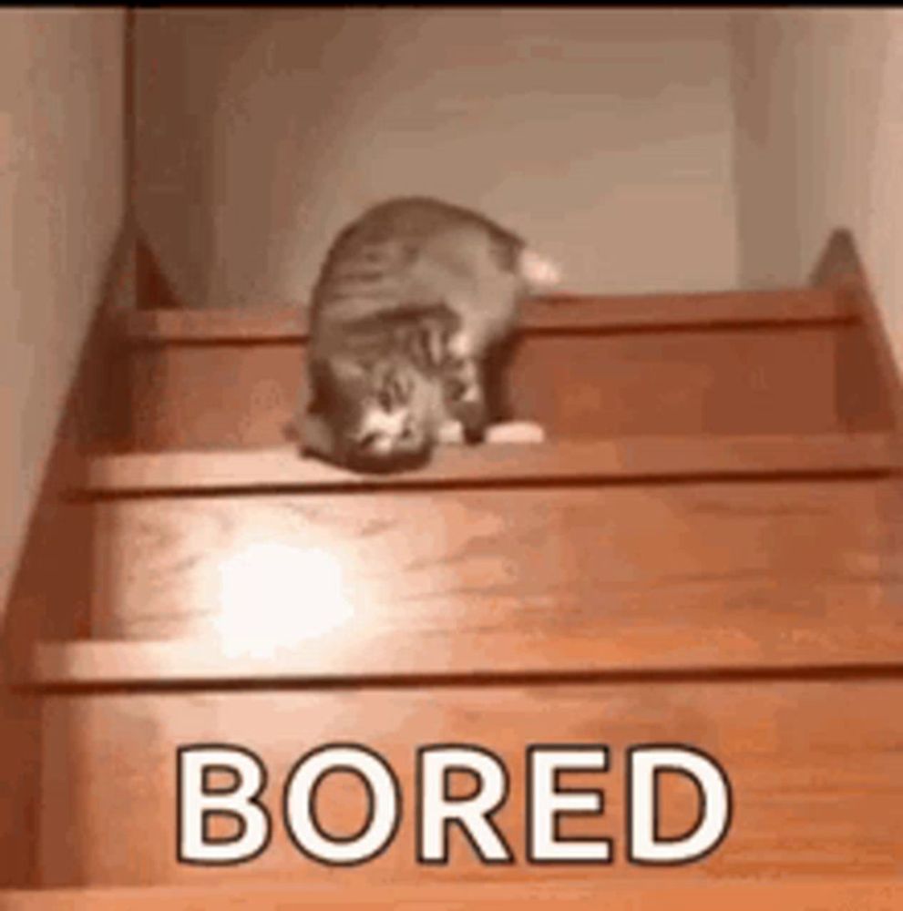 a cat is crawling up a set of wooden stairs .