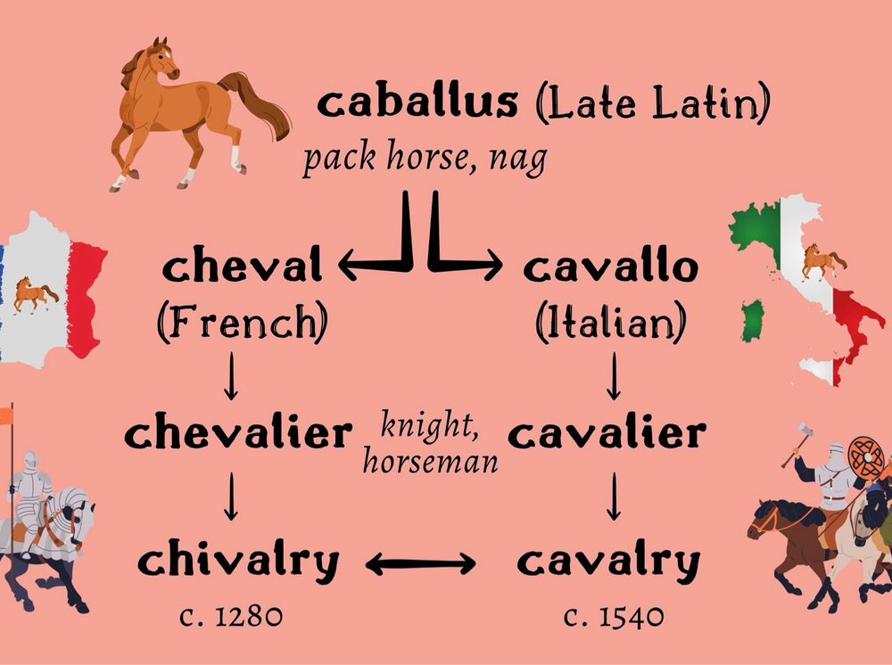 Graphic showing the common descent of chivalry and cavalry from Latin caballus (“pack horse”). Chivalry enter English via French chevalier; cavalry from Italian cavalier.
