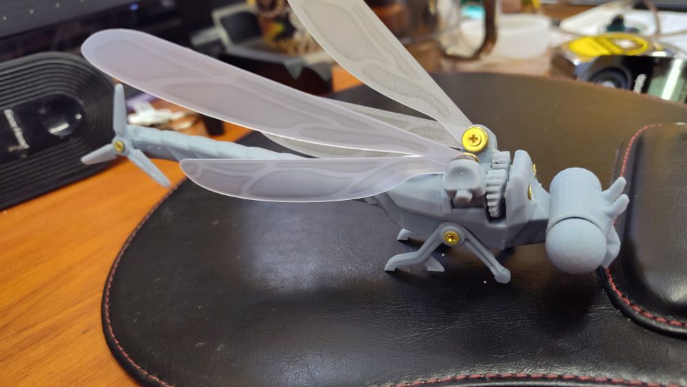 Sideview of the damselfly 