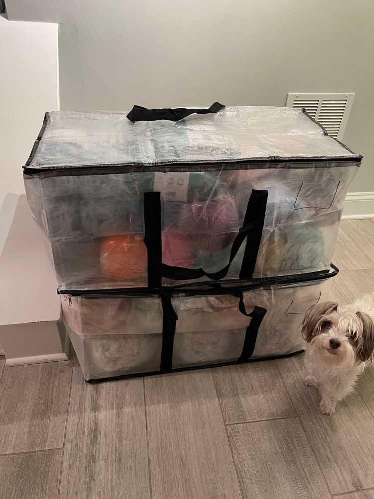 Two big clear storage bags full of yarn ready to be moved to my office while my pup Clara stand near them to supervise. She is a Yorkie/Schnauzer mix and mostly has white fur with brown/grey floofy ears tiny paws and is the sweetest chaos baby you ever will meet.  