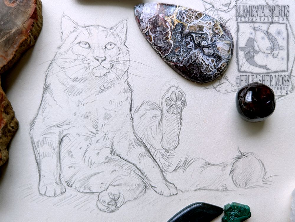 Sketch of a cat looking up indignantly mid wash.