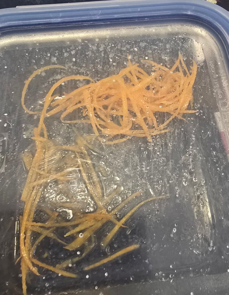 Julienne straps of orange with a little caster sugar 