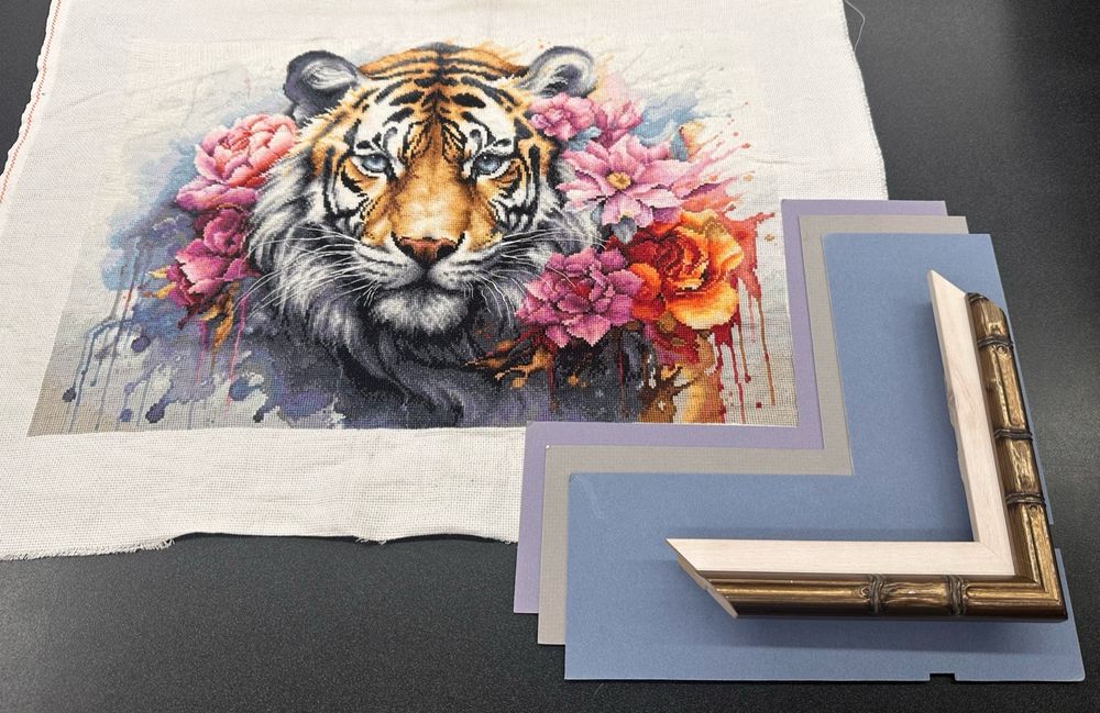 My completed tiger cross stitch (plus embroidered whiskers on top) on a black counter with the bottom right corner of the piece up against the sample frames (from Michael’s frame team department who helped me pick them out) of the final design decision - a purple border of a quarter inch showing area into a light grey border with about another quarter showing, tiny bit more, then a blue border colour with a lot more space to end the colour borders and pull the eye into the tigers face. Then sitting on top of the colour samples are the two frames I chose, a white plain half inch wooden frame and then a golden half inch frame stacked on the outer edge of the white one to give the final touch, match the golds of the tiger, and the design of the gold frame reminds me of an old cage’s bamboo like wood which I think fits the piece perfectly. Now I just wait for the project to be completed by Michael’s and for the phone call to go pick it up!!! I can’t wait 😁🤍