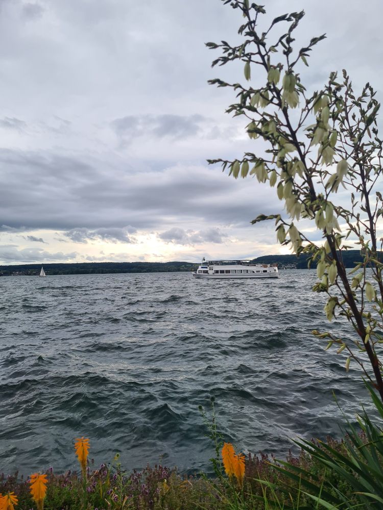 Blick über den Bodensee. Der Himmel ist bewölkt, der See umist unruhig durch den Wind. Im Vordergrund ein paar Blumen am Ufer. Hinten sieht man ein Ausflugsschiff.