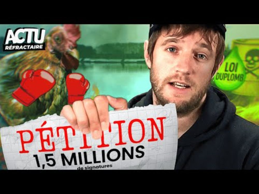 LOI DUPLOMB : C'EST PIRE QUE CE QUE VOUS PENSEZ ! 😠
