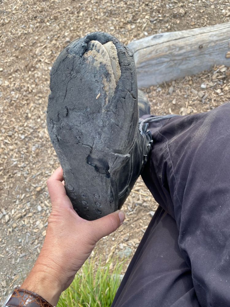 Schuh kurz vor der finalen Zersetzung.