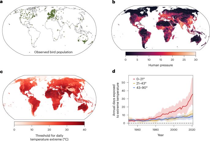 Climate change poses a growing threat to biodiversity, but disentangling its overall impact from other anthropogenic stressors is challenging. Here the authors use a data-driven climate attribution framework to identify a key role of heat extremes in causing changes in bird populations globally.