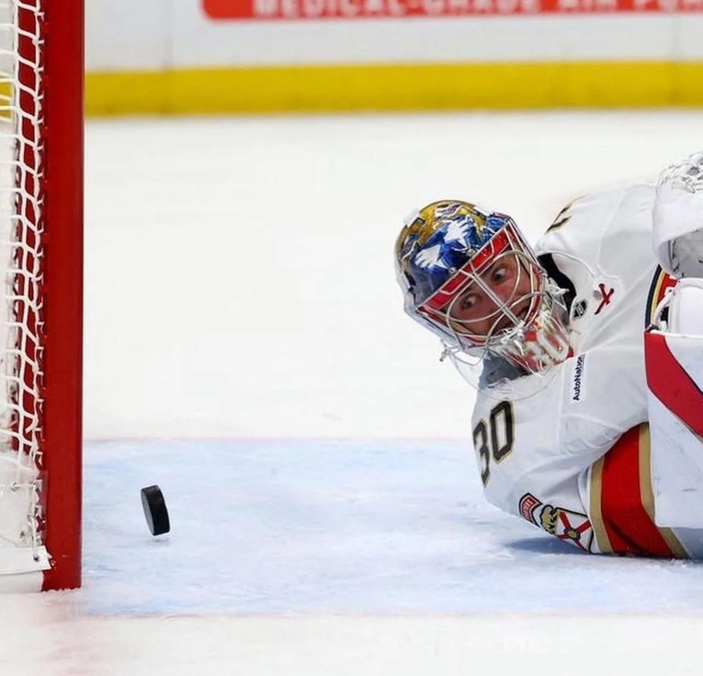 Cats goalie watching the puck go in the net
