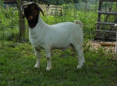 THAT'S WHY SHE IS THE GOAT!!!