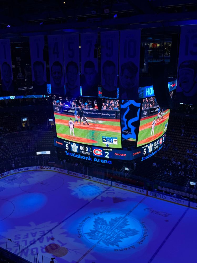 Fans watching the blue jays after the leafs game