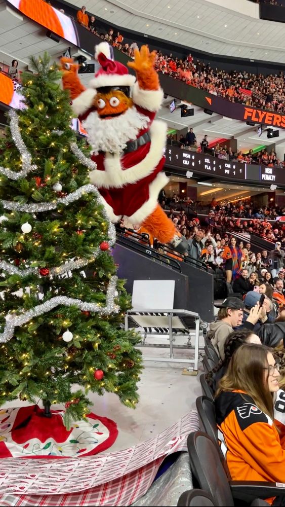 Gritty jumping onto a christmas tree 