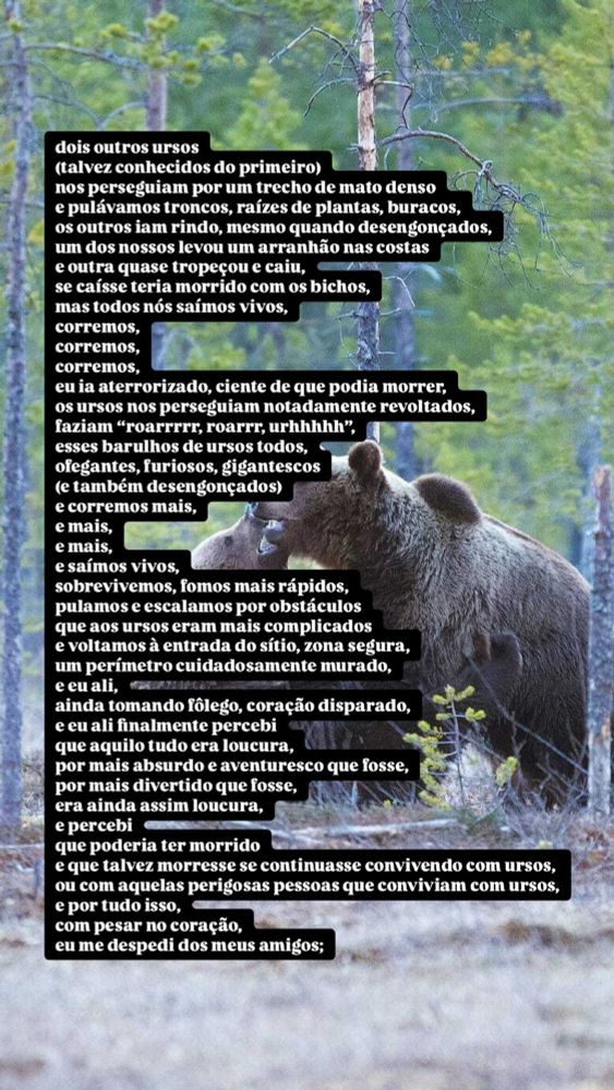 Imagem de fundo com uma floresta densa e dois ursos. Sobreposta à imagem, há a terceira parte do poema "Ursos", por Rodrigo Goldacker. O texto aparece em blocos pretos com letras brancas.