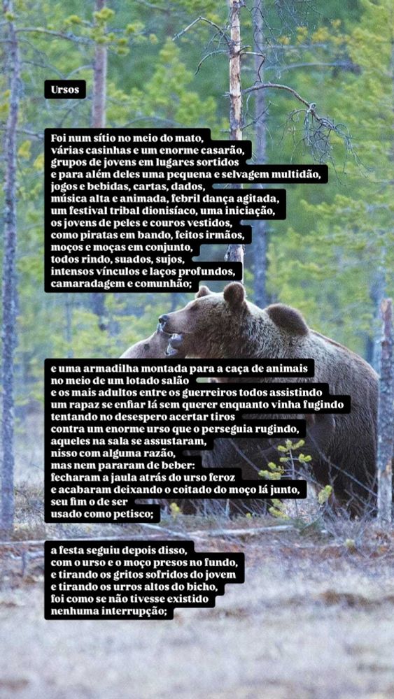 Imagem de fundo com uma floresta densa e dois ursos ao centro, um tocando o rosto do outro. Sobreposta à imagem, há a primeira parte do poema "Ursos", por Rodrigo Goldacker. O texto aparece em blocos pretos com letras brancas.