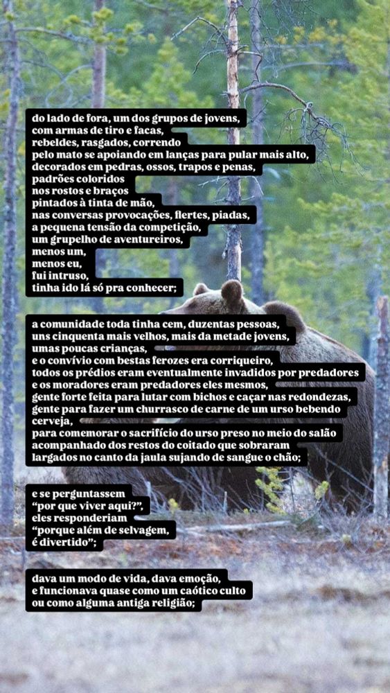 Imagem de fundo com uma floresta densa e dois ursos. Sobreposta à imagem, há a segunda parte do poema "Ursos", por Rodrigo Goldacker. O texto aparece em blocos pretos com letras brancas.