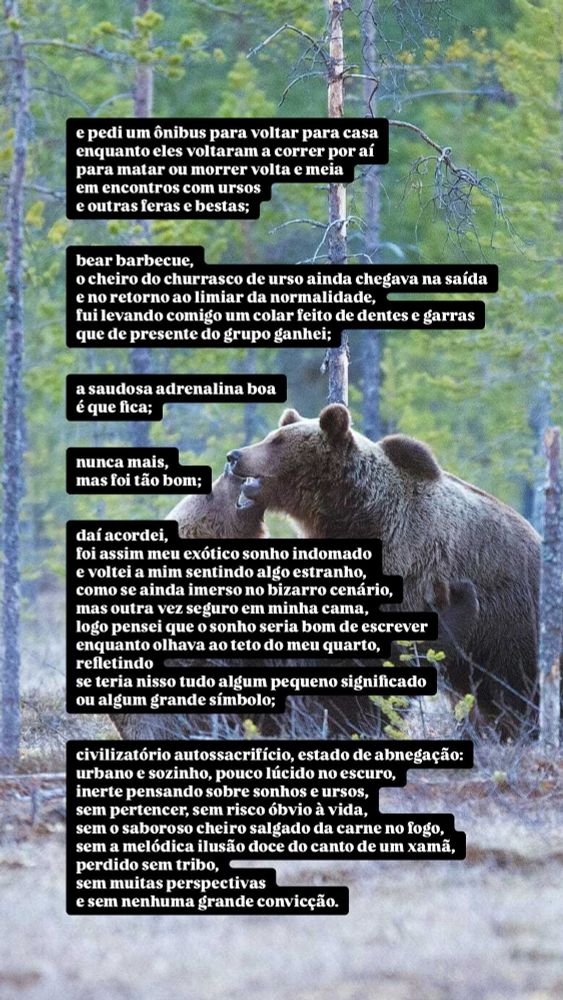 Imagem de fundo com uma floresta densa e dois ursos. Sobreposta à imagem, há a quarta e última parte do poema "Ursos", por Rodrigo Goldacker. O texto aparece em blocos pretos com letras brancas.