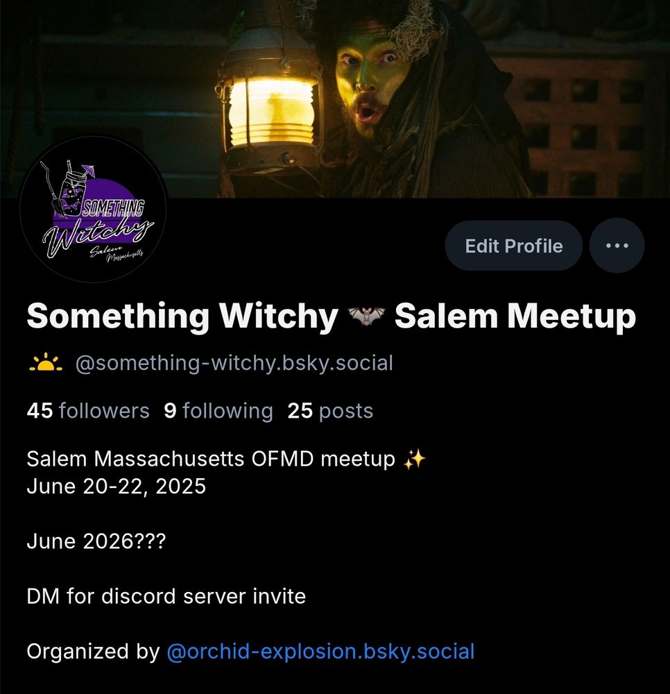 Screenshot of the something witchy bsky bio that now includes "June 2026???" 
