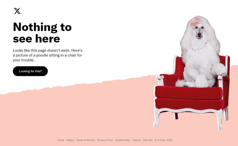 X 404 error page in 2025