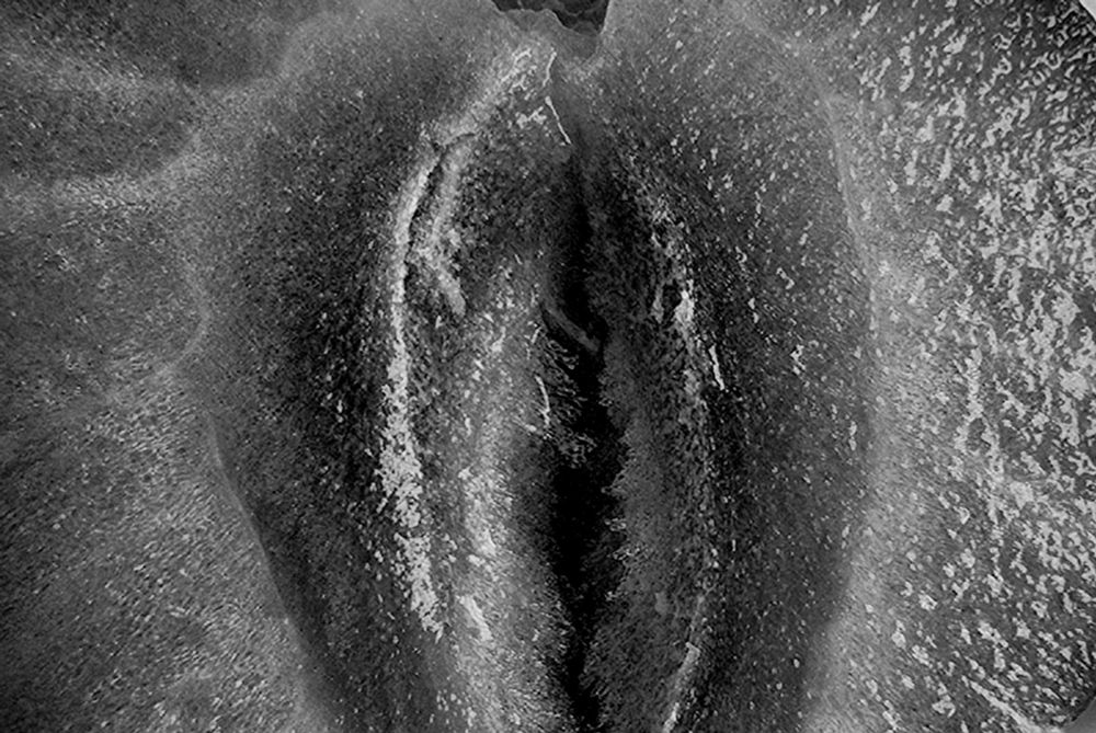 Detail closeup of the hollow center of a cut open strawberry in black and white. It looks wet and kind of like a pussy