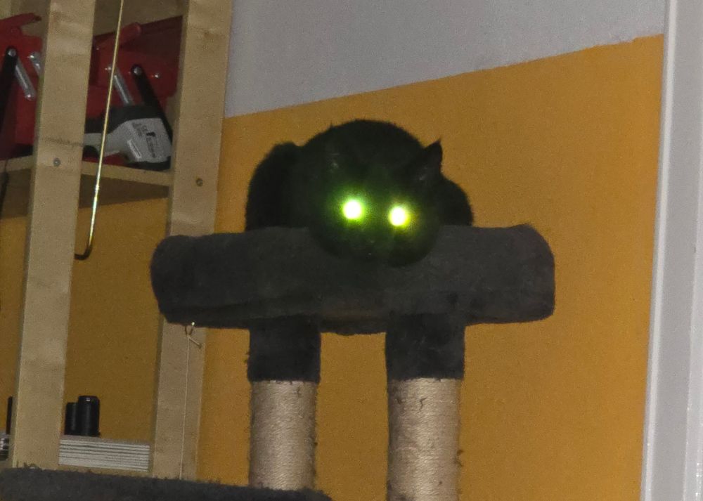 a black cat on a cat tree in a flash lit photo. the cat is looking at the camera, the eyes glowing demonically green.