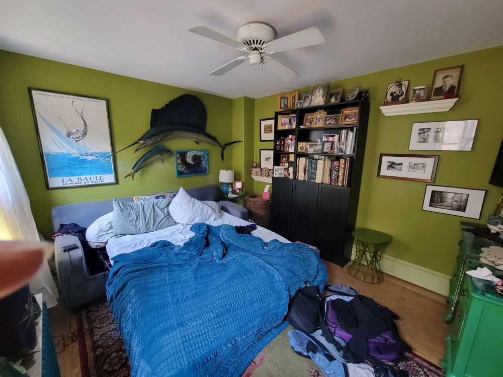 A bedroom/tv room with green walls, tons of decorations like a giant sailfish. As well as tons of photos.