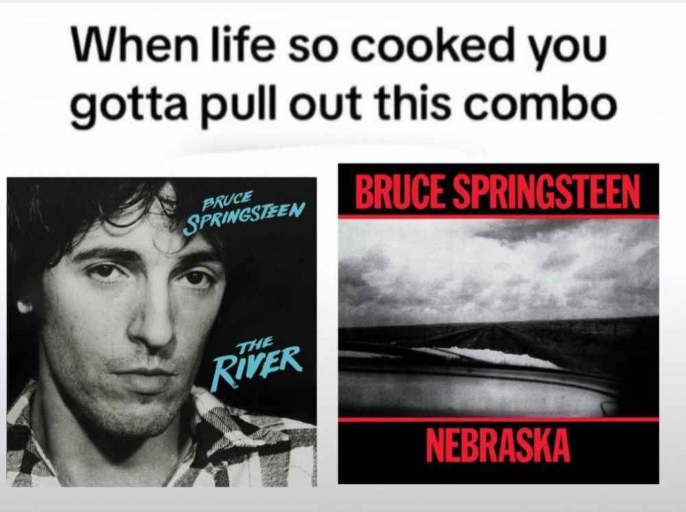 A meme that says " when life so cooked you gotta pull out this combo" below are the album covers of Bruce Springsteen's the Riger and Nebraska 