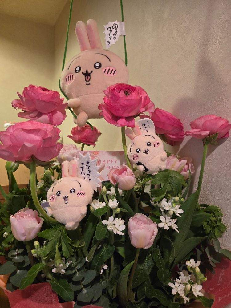 ウララララララララ～🐰