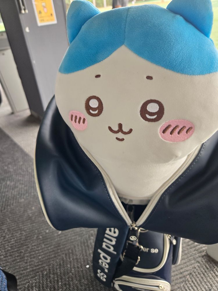 ハチワレかわちぃ😭