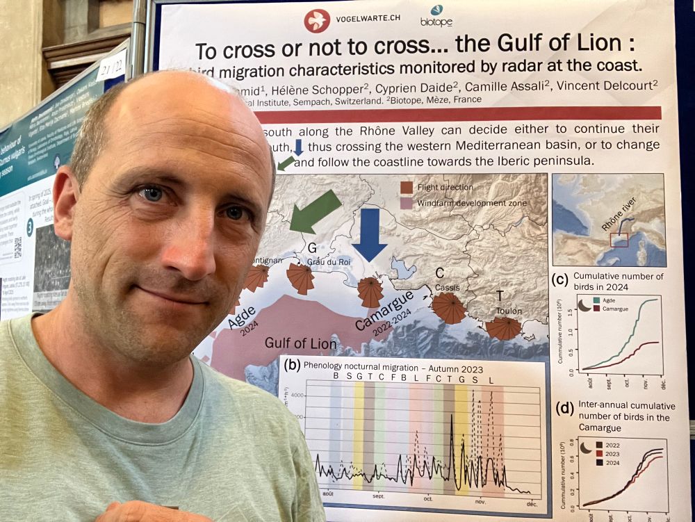 Radar monitoring showed birds heading south crossing the Mediteranen sea in the Camargue, but migration intensity was lower in the Camargue than further west where most birds follow the coast towards Spain. 