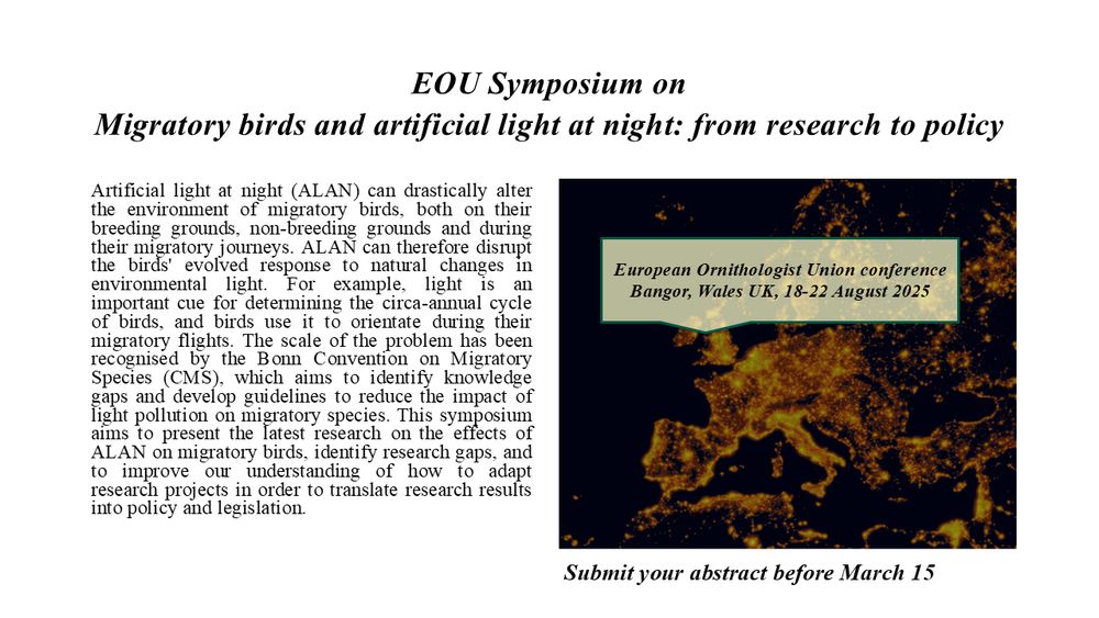 Summary text of the planned EOU symposium (Bangor, Wales UK, 18-22 August 2025):

Artificial light at night (ALAN) can drastically alter the environment of migratory birds, both on their breeding grounds, non-breeding grounds and during their migratory journeys. ALAN can therefore disrupt the birds' evolved response to natural changes in environmental light. For example, light is an important cue for determining the circa-annual cycle of birds, and birds use it to orientate during their migratory flights. The scale of the problem has been recognised by the Bonn Convention on Migratory Species (CMS), which aims to identify knowledge gaps and develop guidelines to reduce the impact of light pollution on migratory species. This symposium aims to present the latest research on the effects of ALAN on migratory birds, identify research gaps, and to improve our understanding of how to adapt research projects in order to translate research results into policy and legislation.