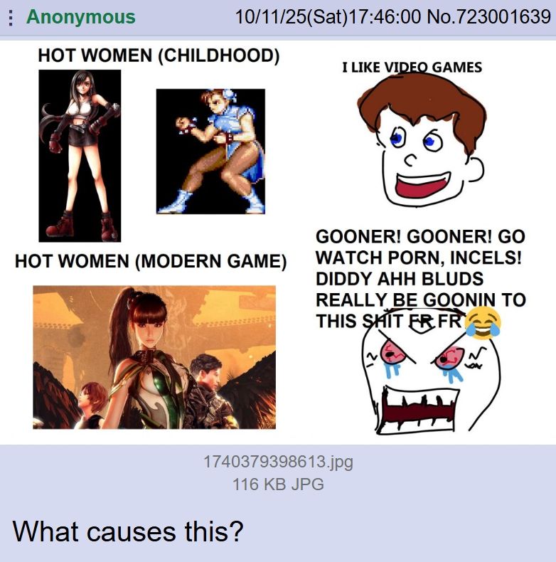 Anonymous 10/11/25(Sat)17:46:00 No.723001639
HOT WOMEN (CHILDHOOD)
I LIKE VIDEOGAMES

HOT WOMEN (MODERN GAME)
GOONER! GOONER! GO WATCH PORN, INCELS! DIDDY AHH BLUDS REALLY BE GOONIN TO RHIS SHIT FR FR😂

What causes this?

#memes #meme #anon #anonymous #text #thread #message #board #forum #forums #tourist #tourists #tourism #videogames #videogame #games #game #gaming 