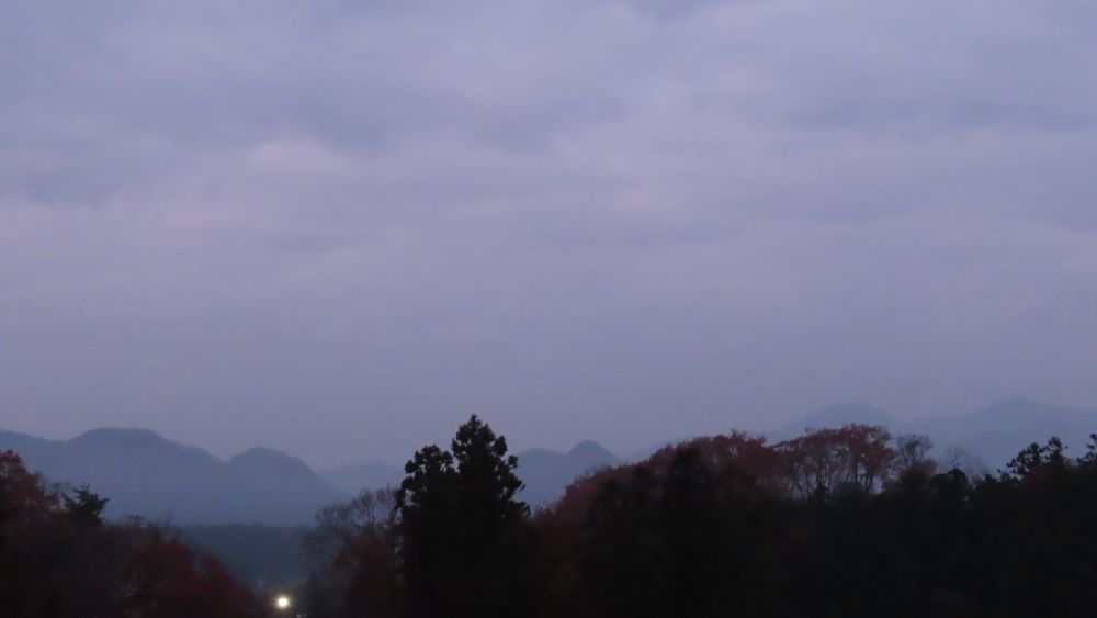 今朝のイマソラと森